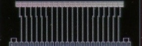 Silicon Photo-Multiplier（SiPM）のイメージ図
